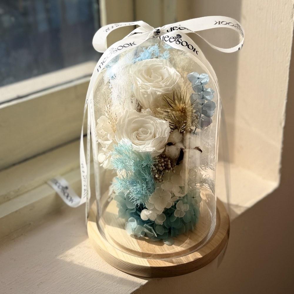 Memory Dome M+