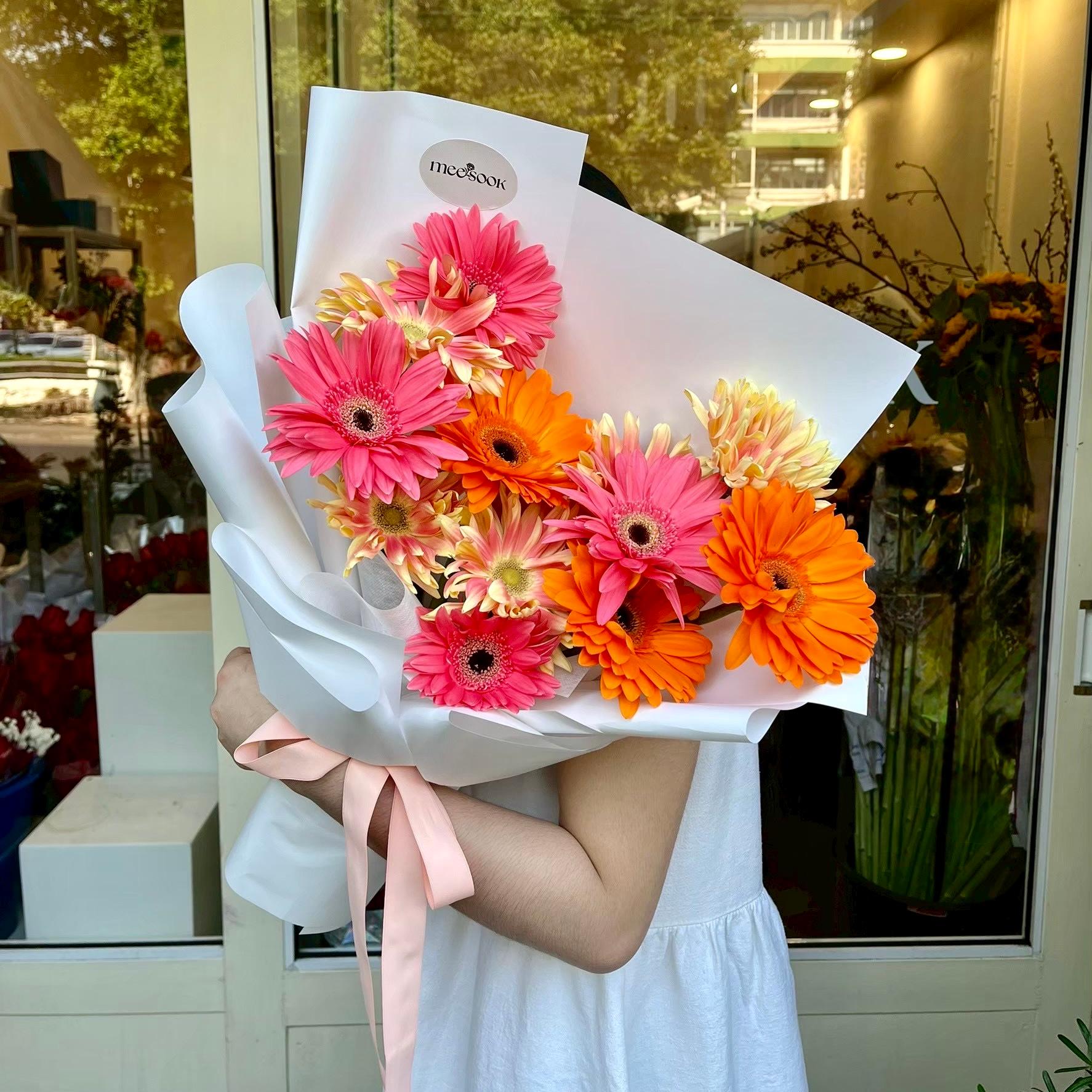 GPL-B01 Mixed Gerbera